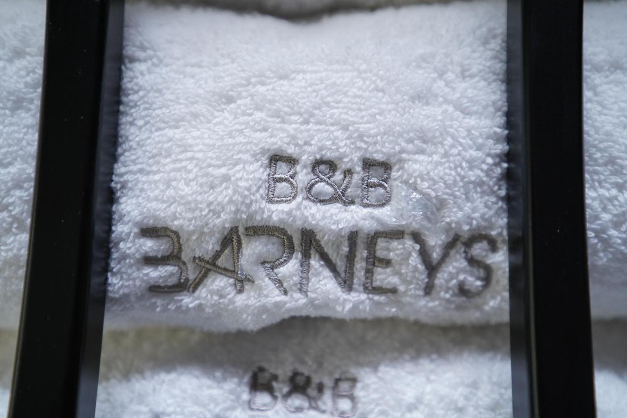 Barneys B&B Cercola Eksteriør billede